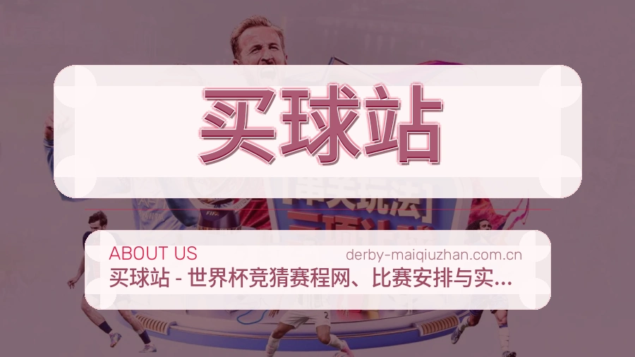 买球站站点服务说明配图